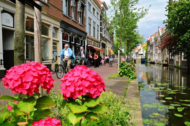 Flowers on a street with bicyles, houses and a canal with water lilies