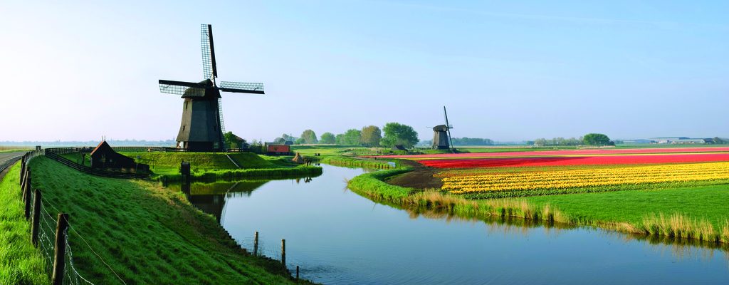 A canal in between two windmills and a green levee and a colourfull flowerfield on the side