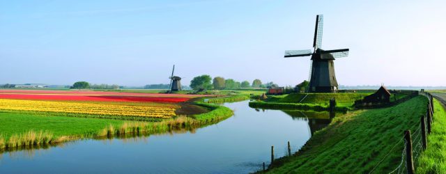 A canal in between two windmills and a green levee and a colourfull flowerfield on the side
