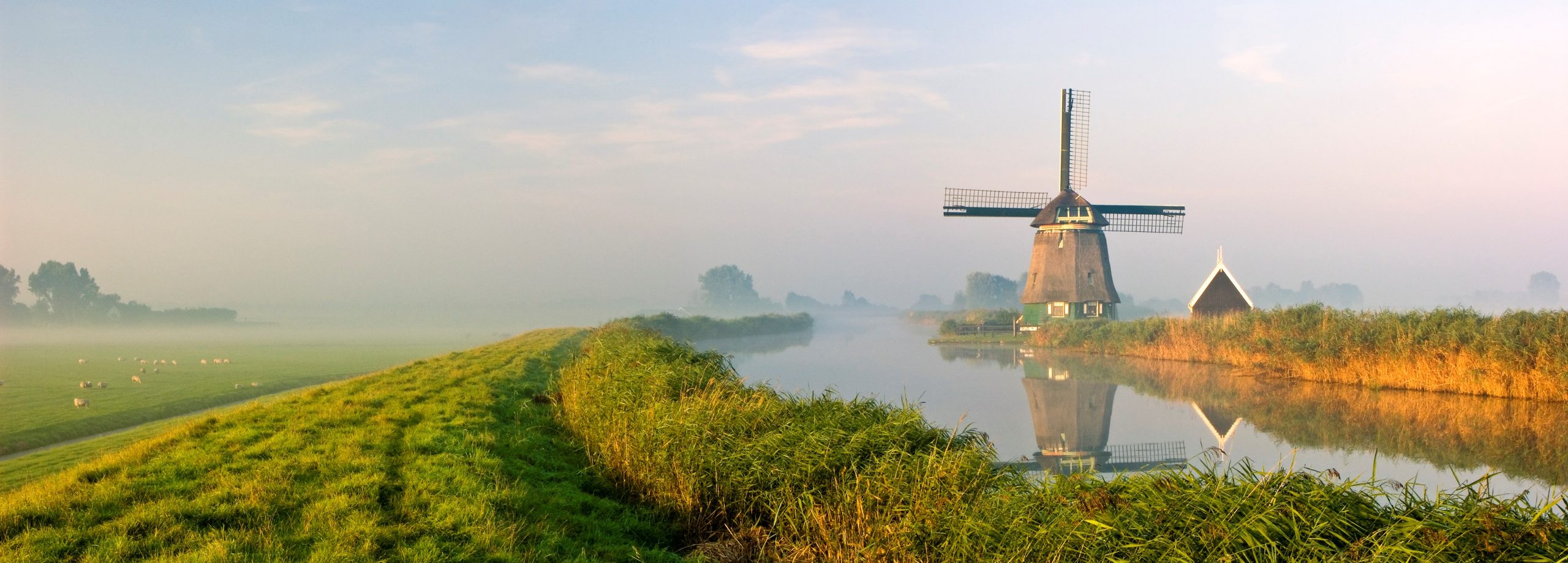 a windmill next to a canal and a levee with a green field with sheep during sunrise