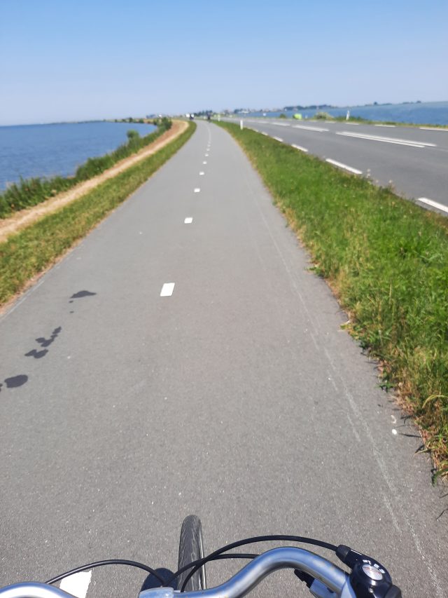 a bike lane on a levee with water on both sides