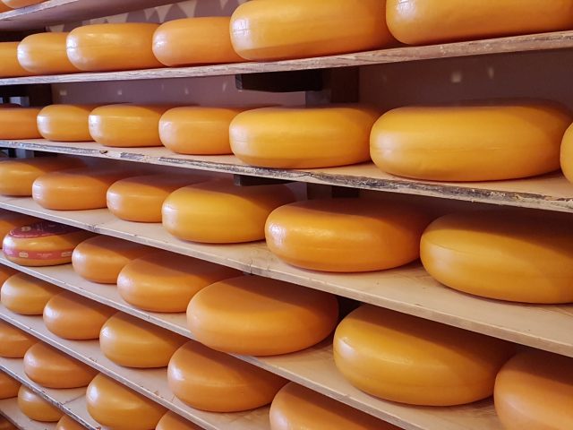 many yellow cheeses on shelves
